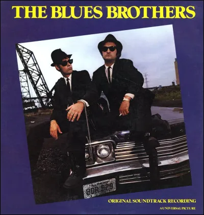 Quel chanteur n'apparaît pas dans le film "Les Blues Brothers" ?