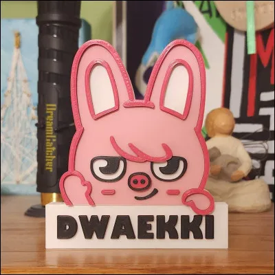 De quel membre est le skzoo nommé DWAEKKI ?