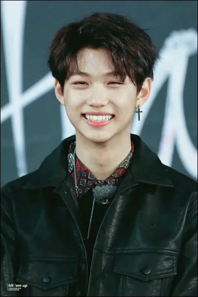 Qui est le membre à qui cette écriture coréenne correspond ?
필릭스