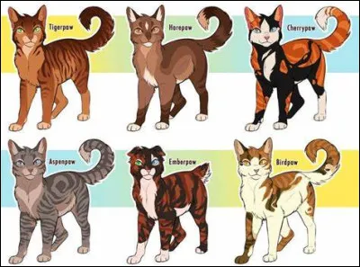 Quel chats préfères-tu parmi ceux-ci ?