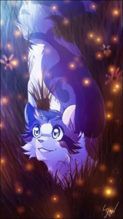 Après réflexion, ta mère t'appela Petite Lune, en rapport à ton pelage argenté et tes yeux bleus limpides. À trois lunes, tu devins une chatte sage et réfléchie, qui observait de loin le guérisseur alors que tes surs et ton frère cherchaient la bagarre. Lorsque le guérisseur te demanda si tu voudrais être son apprentie plus tard, que répondis-tu ?