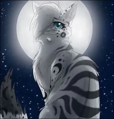 Tu réponds oui. Pourtant, lorsque tu as cinq lunes, Petite Rivière, qui est ton aînée, devint l'apprentie du guérisseur. Comment réagis-tu ?