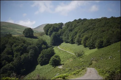 Dans quelle chaîne de montagnes se situe le col de Roncevaux ?