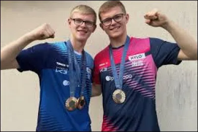 Quels sont les prénoms des frères Lebrun ?