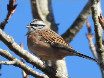 Un simple fait pour vous !