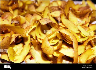 Identifiez ces épluchures et voyez ce que vous pouvez en faire !