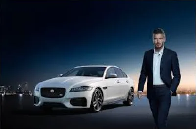 Vous venez de gagner une somme d'argent sympa au loto, qui vous permet d'acheter une Jaguar d'occasion, mais il y a une petite retouche de peinture à faire, il vous manque un élément essentiel pour préparer le support ...