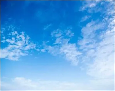 Qu'est-ce que tu préfères ?