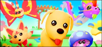 Et quel est ce jeu ?