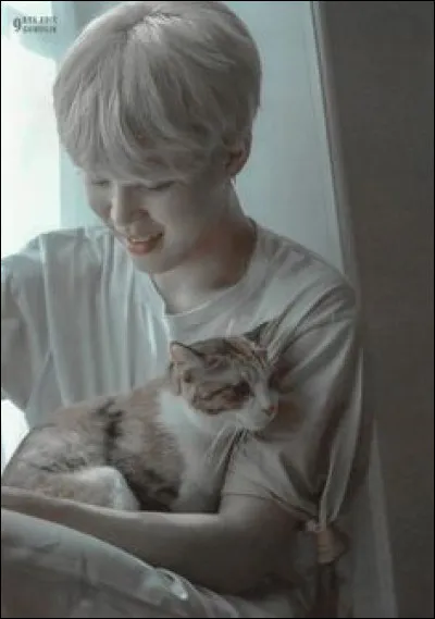 Comment s'appelle son chat ?