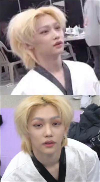 As-tu déjà essayé plusieurs couleurs de cheveux différentes ?