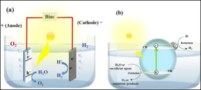 Combien de ces isotopes sont stables ?