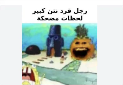 Qu'est-ce que tu aimes faire quand tu es tout seul ?