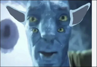 Quelle est ta ta passion ?