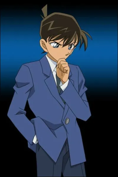 Qui est Shinichi Kudo ?