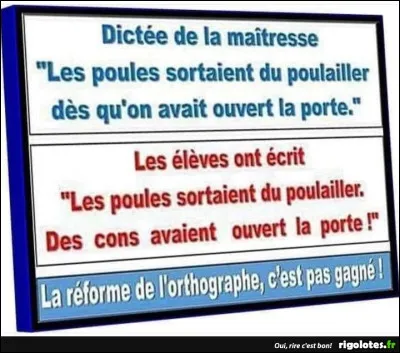 Que pensez-vous de cette fleur ?