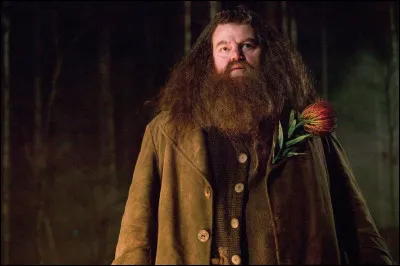 Qui est Hagrid ?