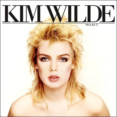 Qui chantait "Les Nuits sans Kim Wilde" ?