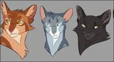 Des trois chatons de Feuille de Lune, lequel ressemble le plus à Feuille de Lune, selon toi ?