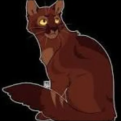 Quel couple LGDC trouves-tu le mieux ?