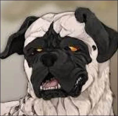 Choisis une couleur de pelage. C'est la dernière question ! Mais n'oublie pas pour les noms, ils commenceront par "Petit" car je vais faire le préfixe dans la prochaine partie.