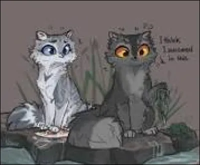 Que fais-tu si ton ami a une compagne d'un autre clan ?