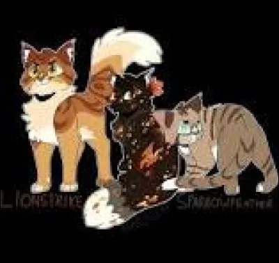 Noté ! Et si tu avais des chatons, comment les appellerais-tu ? (Mâle, femelle et mâle.)