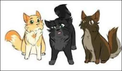 Okay, et ces derniers, comment les appellerais-tu ? (Femelle, femelle, mâle.)