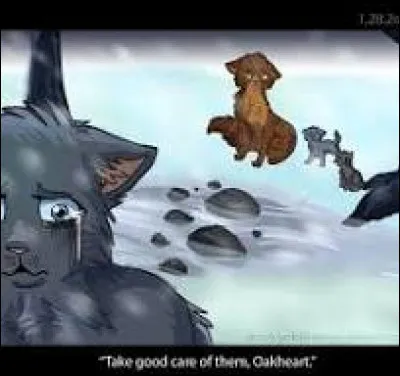 Es-tu gêné(e) de pleurer devant les autres ?