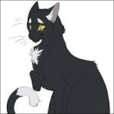 Aimerais-tu avoir un nom basé sur tes yeux ?