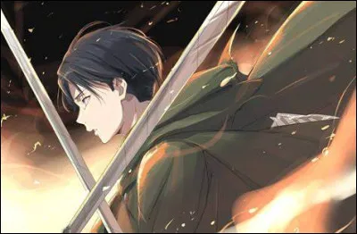 Quel est le nom de sa coupe de cheveux ?