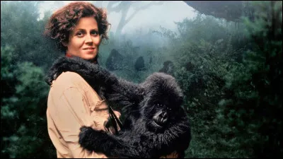 Quelle actrice incarne Dian Fossey dans le film "Gorilles dans la brume", sorti en 1989 ?