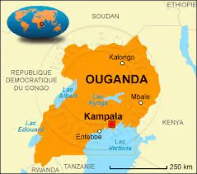 Le drapeau de l'Ouganda est composée de six bandes horizontales portant les couleurs jaune, rouge et noire. Mais dans quel ordre ?