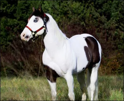 Quelle est cette robe ?