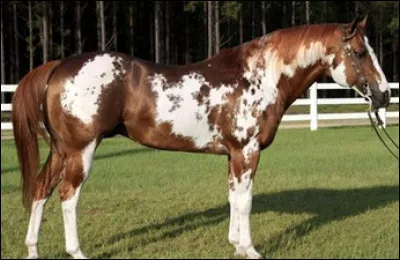 Quelle est cette robe ?