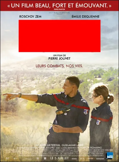 Cette affiche est celle du film...