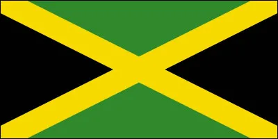 Quel pays a pour symbole un drapeau qui est le seul au monde qui ne comporte ni rouge, ni bleu et ni blanc ?