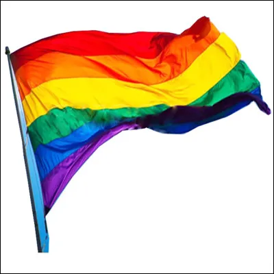 Combien de couleurs comporte le drapeau LGBTQIA+ ?