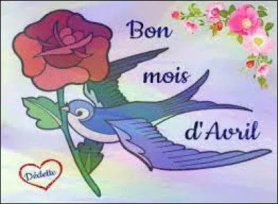 Le 25 avril on fête les Marc ! Dans quelle ville italienne peut-on admirer la cathédrale et les nombreux pigeons, sur la place saint-Marc ?