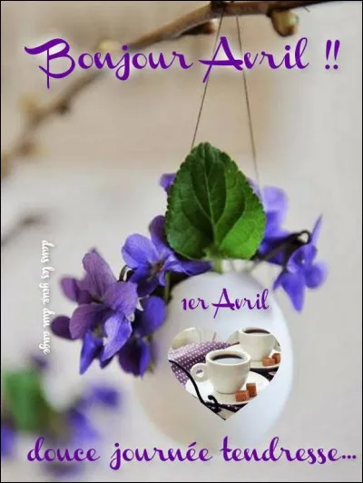 Quelle marque porte le nom "Avril" ?