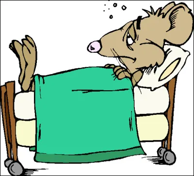 Quels animaux peuvent être atteints de la myxomatose ?