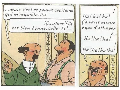 D'après l'annonce de Tournesol à Séraphin Lampion, quelle maladie a attrapé le capitaine Haddock ?