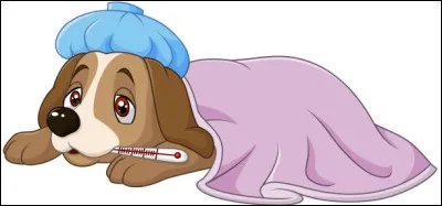 Par quoi la maladie de Lyme est-elle apportée ?