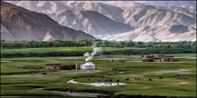 Lequel de ces pays d'Asie n'est pas bordé par l'océan Indien ?