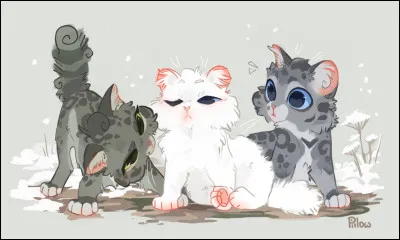 Tu es une chatte et accouches d'un chaton. Comment l'appelles-tu ?