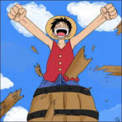 Comment Luffy a-t-il survécu au tourbillon ?
