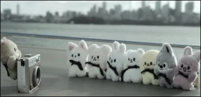 Quel est ton moment préféré lors dun concert ?