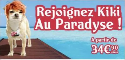 Quelle est cette publicit ?