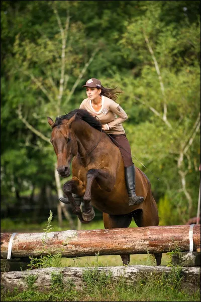 Choisis ce que tu aimes.