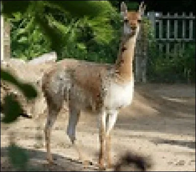 Qui présente "Affaire conclue" sur France 2 depuis 2 ans.